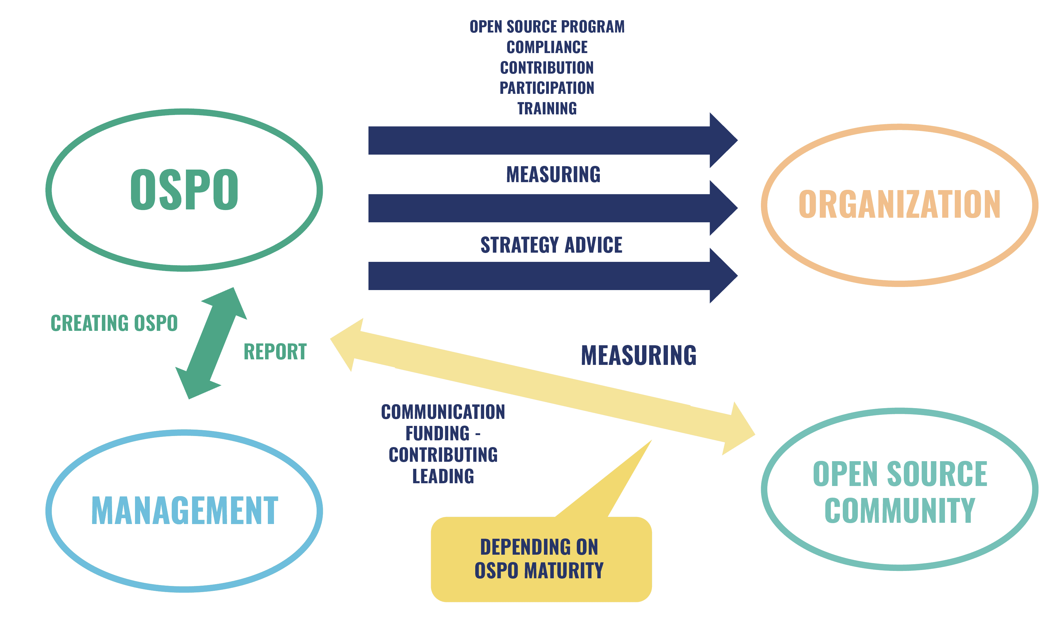 Diagram of an OSPO's relationships: Management creates the OSPO and receives its reports; the OSPO delivers compliance, contribution, participation, and training to the Organization while measuring results; and, depending on the office's maturity, it communicates, funds, contributes to, and eventually leads within the Open Source Community